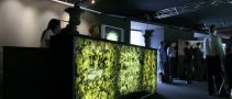 2019 年俄罗斯国际石材展