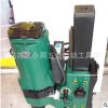 厂家直销台式工程钻机 金都 CF-260 工程钻机