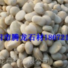 湖南长沙白色鹅卵石厂 长沙白色鹅卵石厂家 湖南鹅卵石