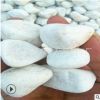 博森直销 园艺装饰白石头 水洗石 水磨石白石子 4-6mm白色石米