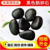 南京园艺石鱼缸铺底沙水草造景黑色雨花石工程用小石子
