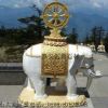 石雕大象 石材大象 石大象 汉白玉大象 花岗岩大象 大象雕刻 石雕厂家定制