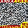 人选黑色大鹅卵石 园林景观抛光鹅卵石批发 灰色砾石南京鹅卵石