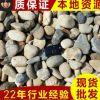 厂家直销 江苏鹅卵石加工 园林绿化专用鹅卵石 鹅卵石批发