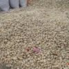 碎花石子 雨花石裕弘源鹅卵石质优价廉 质量保证