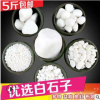 白石子厂家 水洗石 白色鹅卵石水洗石 多肉铺面用