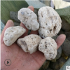 厂家批发 轻石 浮石 鱼缸造景用大块轻石 兰花种植浮石颗粒