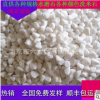 白色鹅卵石纯白雨花石园林景观水池垫底铺路地面打磨石批发