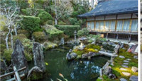 石材异形加工水晶球垂直水平旋转检测 (397播放)