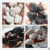 厂家供应园林景观卵石黑色白色深灰色机制抛光鹅卵石子五彩雨花石
