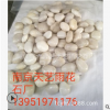 特供精白色雨花石适用高层次会所.庭院装饰广场园路铺装