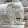 定制汉白玉仿真石雕大象 各种石雕装饰摆件 专业石雕加工制作工厂