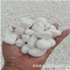 园林景观装饰用白色鹅卵石 白色石子 白色水洗石 白玉石 厂家直供
